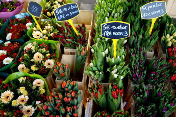 Gorgeous glowers at the Kouter Flower Market in Gent. If only I was in town for more than one night. I would have bought some.