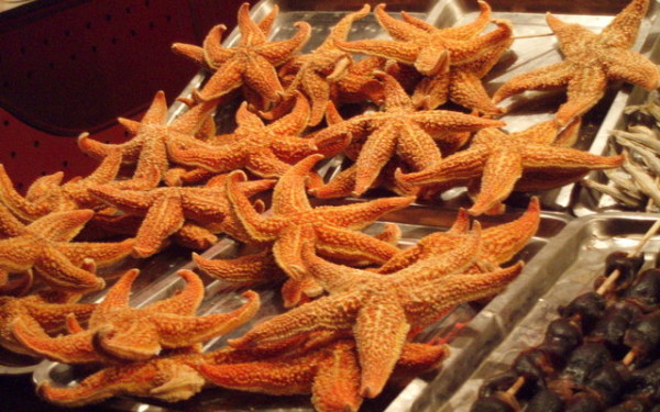Beijing's Night Market has the most bizarre selection of foods. These starfish sat alongside insects and scorpions.