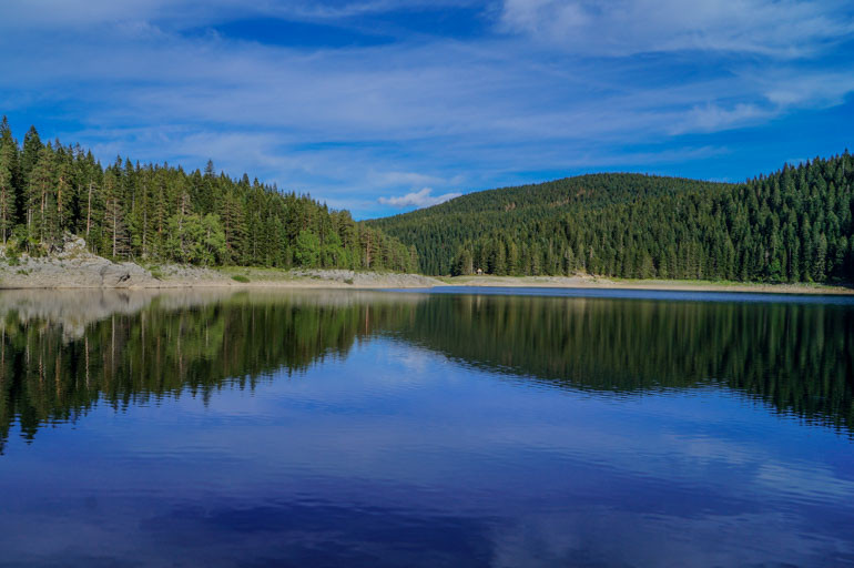 Reflections in Black Lake