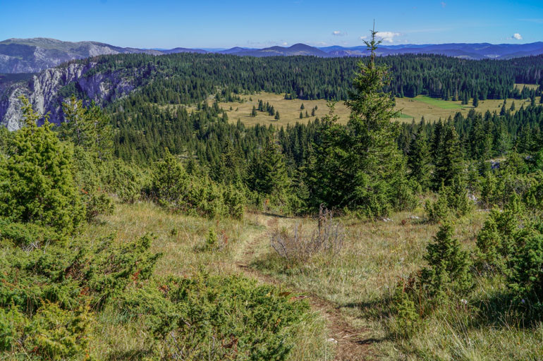 View from Curevac