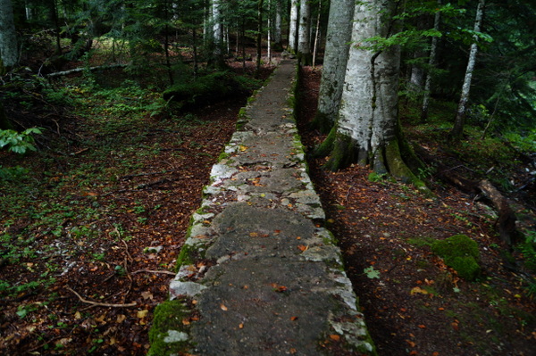 Biogradska National Park, Montenegro