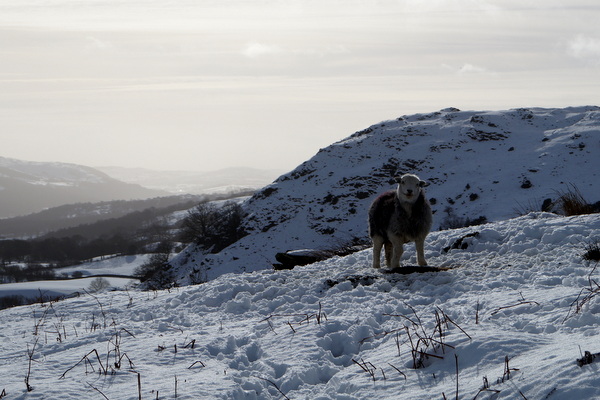 Coniston, UK