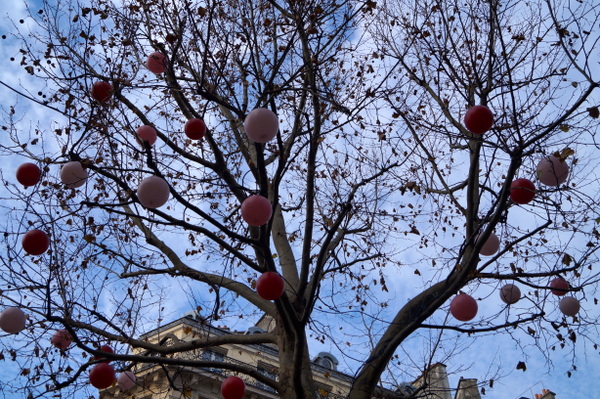 Decorations in the street