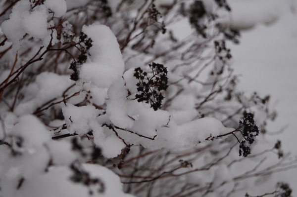 Jyvaskyla, Finland