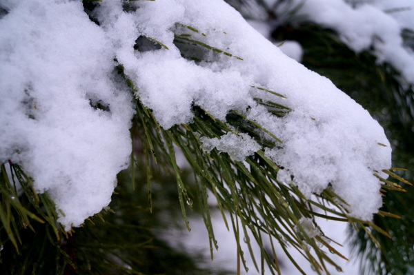 Snow before Christmas