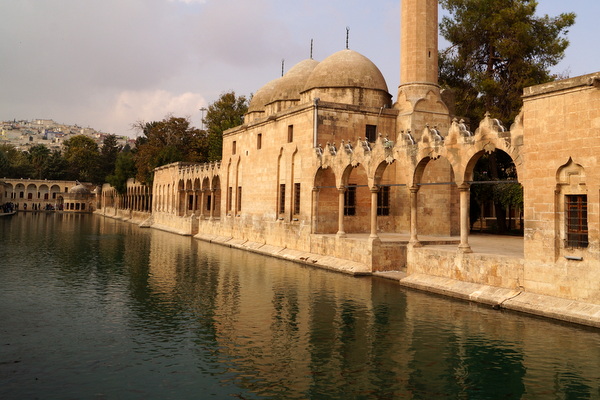 Pond of sacred fish