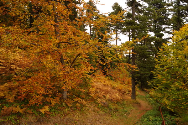 Trails at Pelister National Park