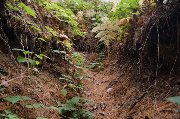 Trench in Pelister National Park