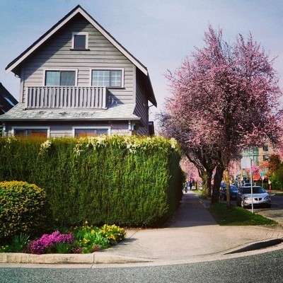 Houses in Kits