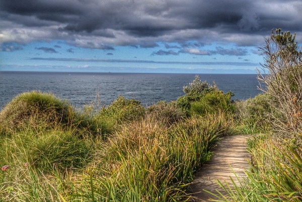 Path over Dee Why Cliffs