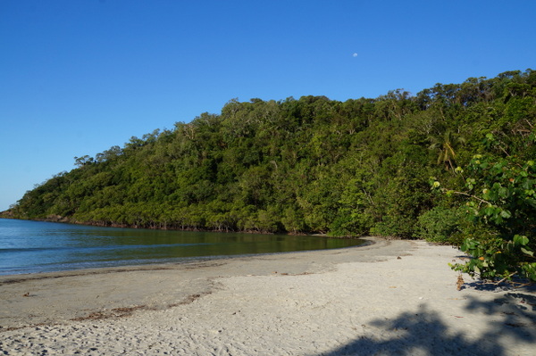 Cape Tribulation Beach