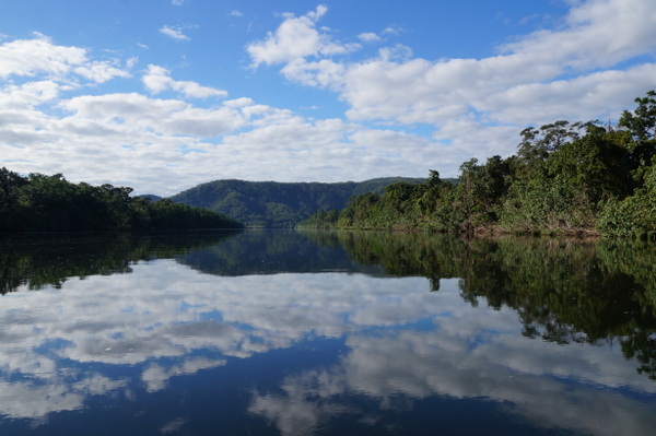 Daintree River