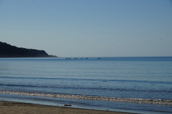 Kayak tour on the water at Cape Tribulation