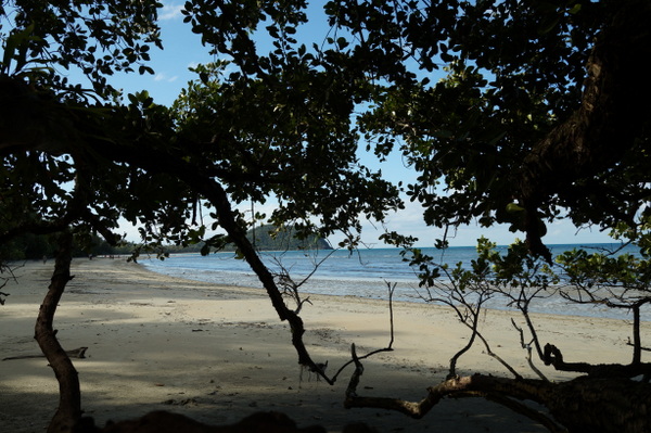 Looking north along Myall Beach