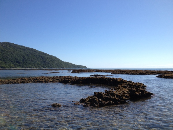 Rocks at Cape Tribulation