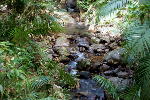 Stream at Jindalba