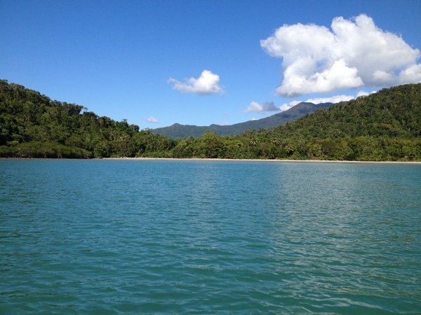 Where the rainforest meets the reef