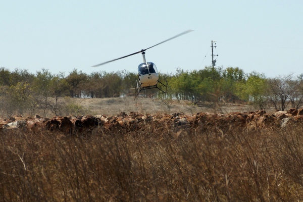 Helicopter flying low