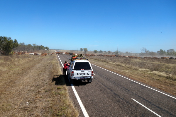 Road crossing