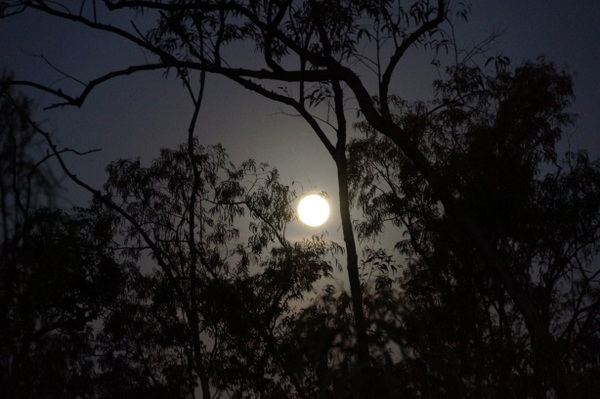 A disused gravel pit at Mein Deviation on the road to Cape York was our camp site for the night. The trees to the west blocked our view of the sunset, but the moon in the east was beautiful.