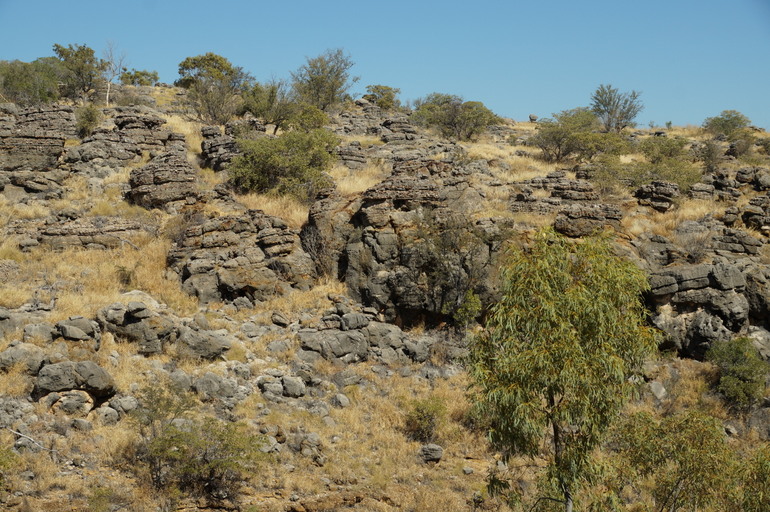 Cambrian Pancakes, Riversleigh Fossil Site