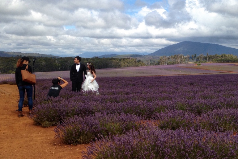 Wedding shoot at Bridestowe