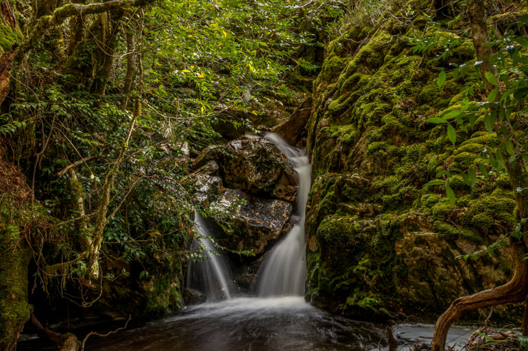 Crater Falls, Cradle Mountain