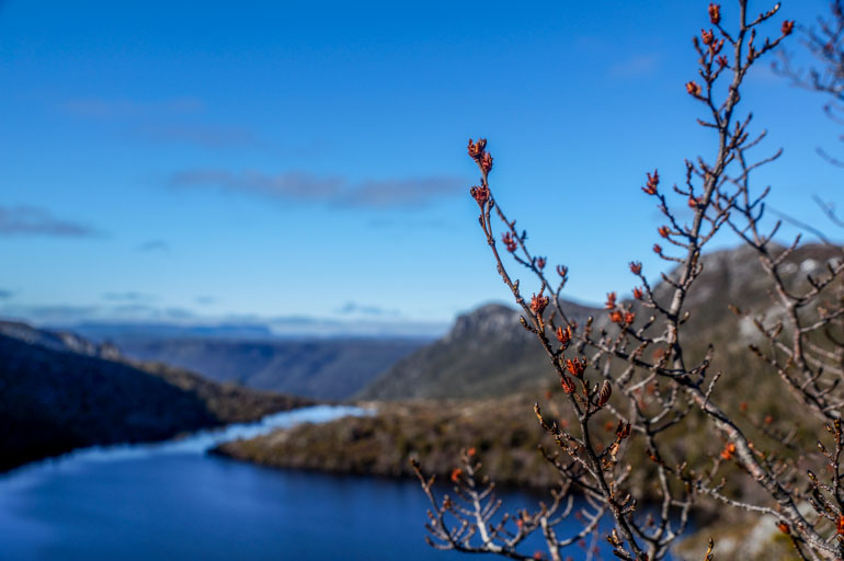 Hansons Lake