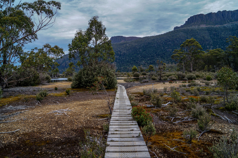 Walk to Lake St Claire on the Overland Track
