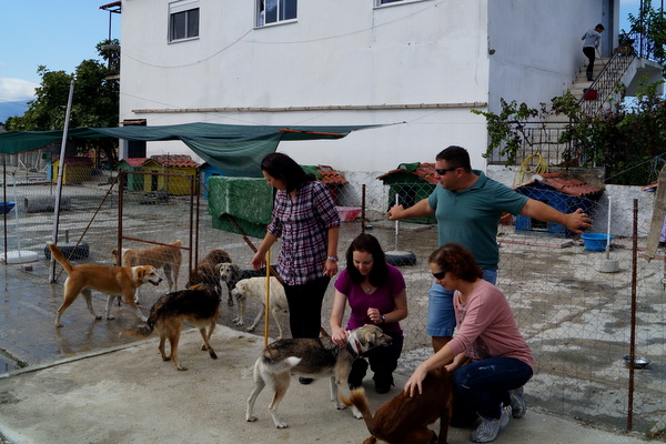 With my hosts Shira and Assaf in Vlore, Albania. They took me to the dog shelter they volunteer at.