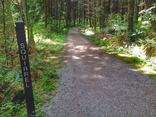 Trails in Stanley Park