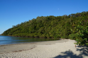 Cape Tribulation: A Coastal Paradise • Pegs on the Line