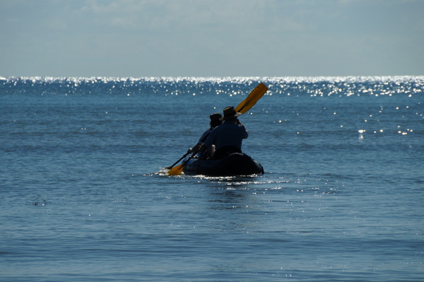 Kayaking at Cape Tribulation