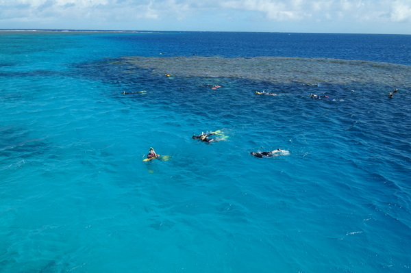 Snorkelers in the water