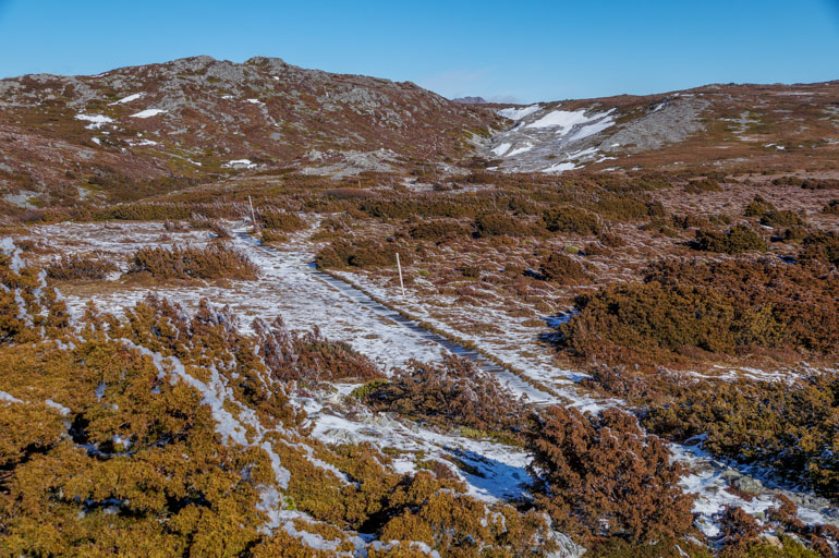 Horse Track from Crater Peak, Cradle Mountain